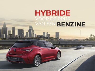 Nieuwsitem-hybrideactie2.jpg