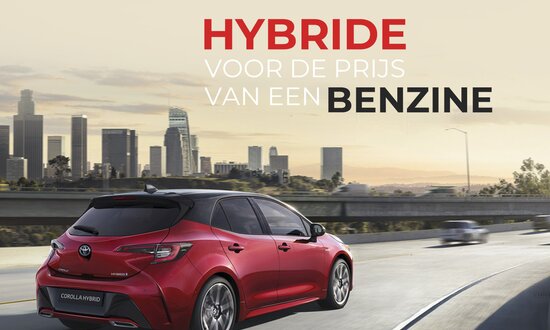 Nieuwsitem-hybrideactie2.jpg